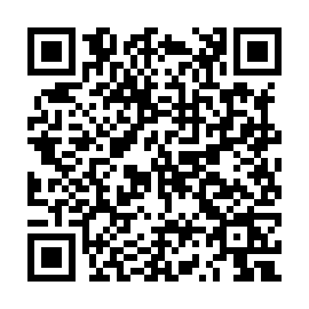 QR code for LV28