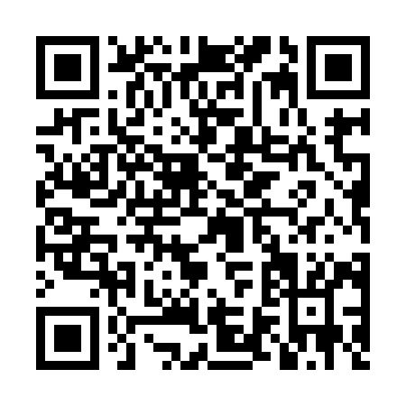 QR code for LV599