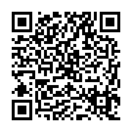 QR code for LZ290