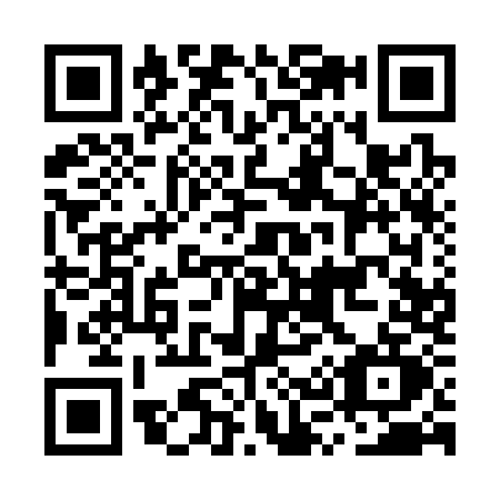QR code for MS13