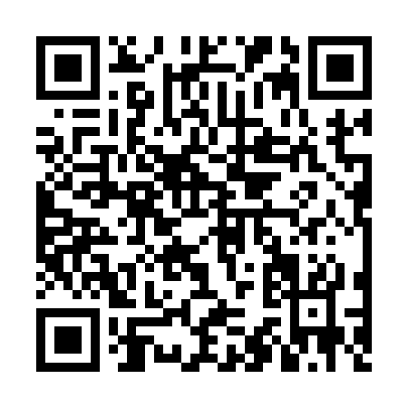 QR code for NC313
