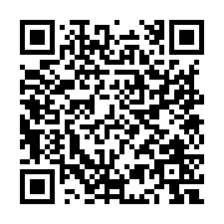 QR code for NE397