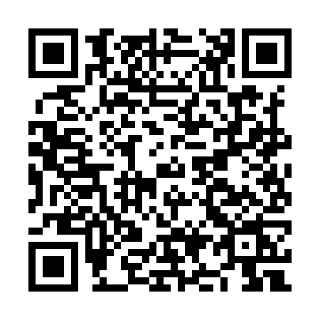 QR code for NI29