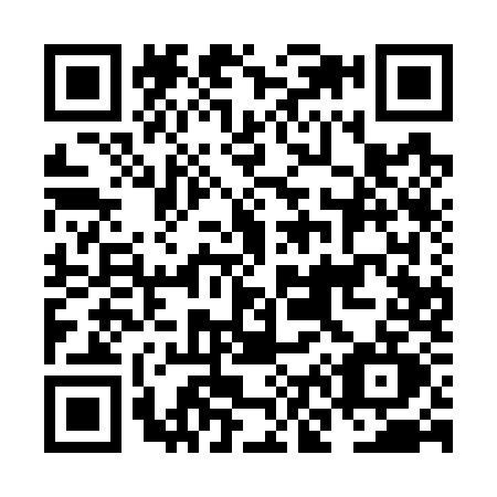 QR code for NN17