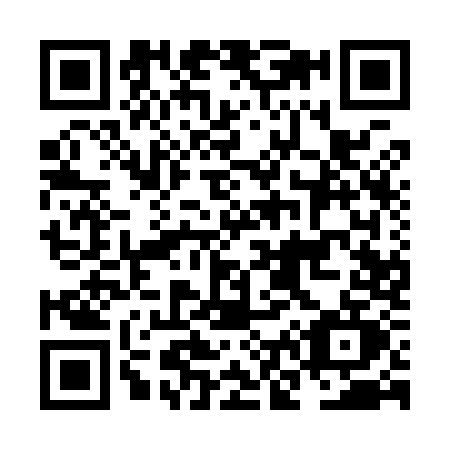 QR code for NN19