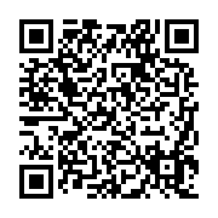 QR code for NN294