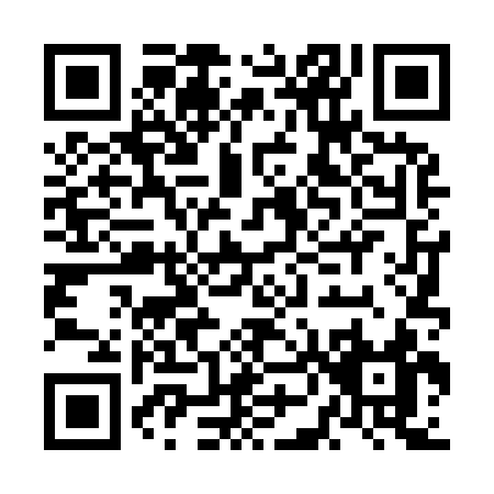 QR code for NN493
