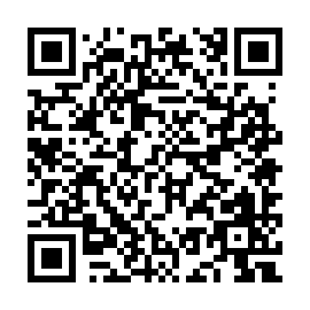 QR code for NO539