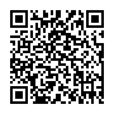 QR code for NQ378