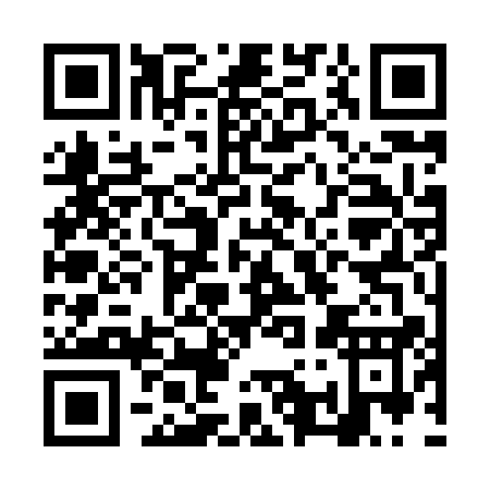 QR code for NQ381