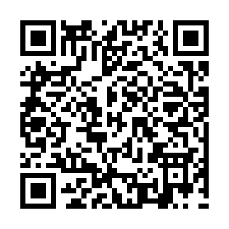 QR code for NR333