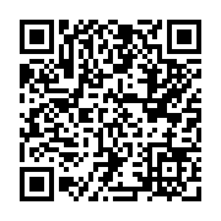 QR code for NS036