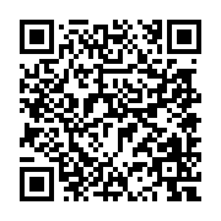 QR code for NS509