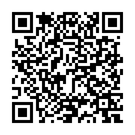 QR code for NS85