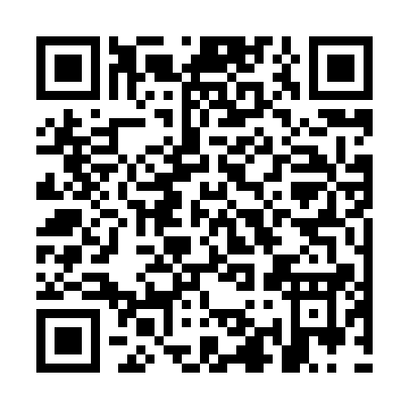 QR code for OI381