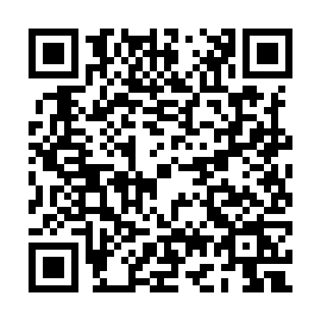 QR code for PG29