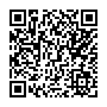QR code for PG384