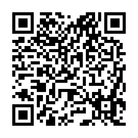 QR code for PI297