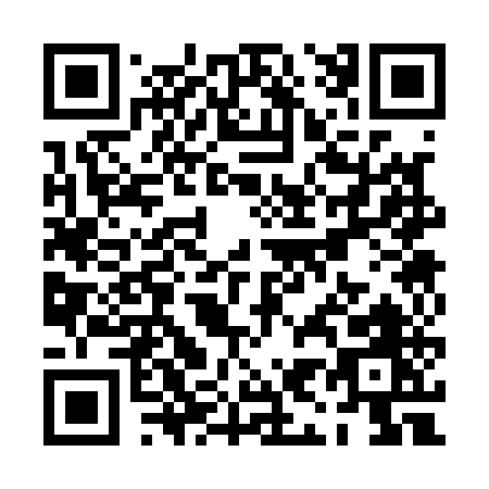 QR code for PI315