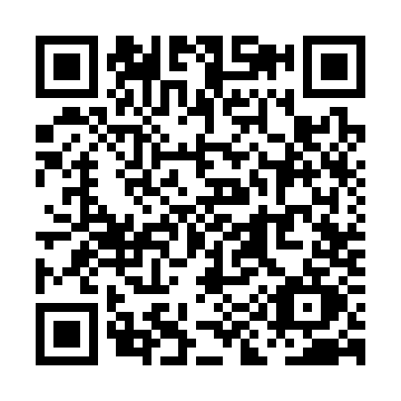 QR code for PI33