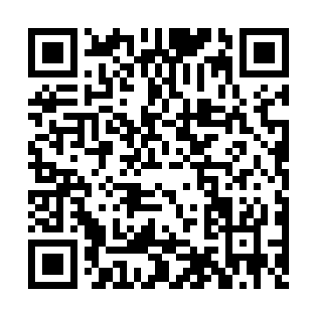 QR code for PI453