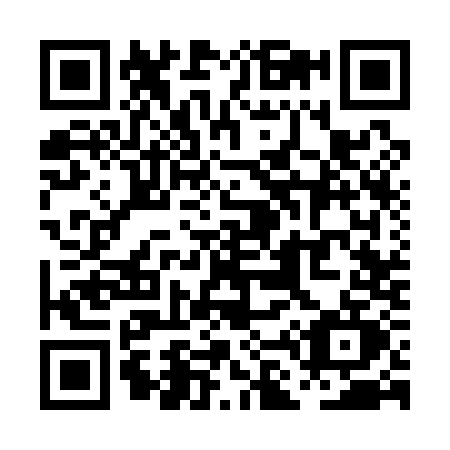 QR code for PL31