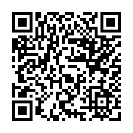 QR code for PL393