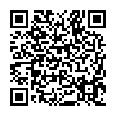 QR code for PM291