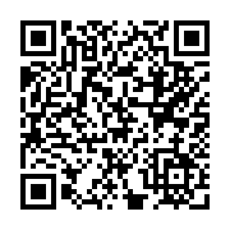 QR code for PP313