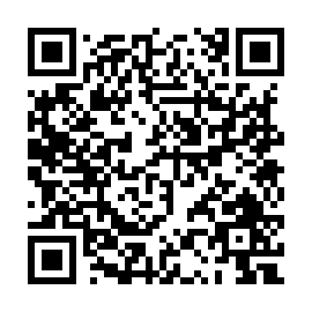 QR code for PP396