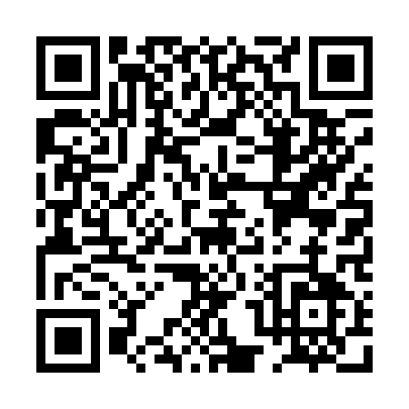 QR code for PP411