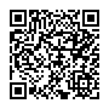QR code for PP963