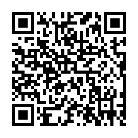 QR code for PT313