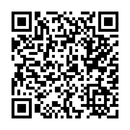 QR code for PT517