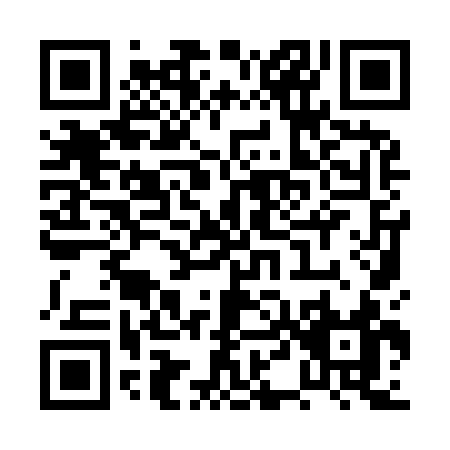 QR code for PT993