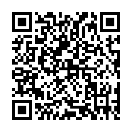 QR code for PZ113
