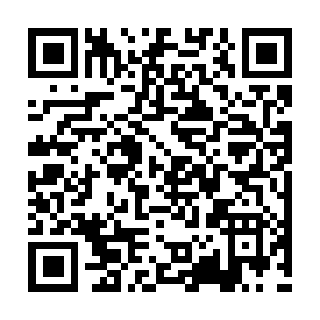 QR code for PZ378