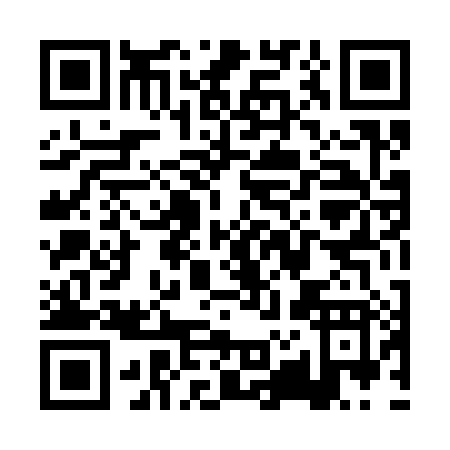 QR code for PZ438