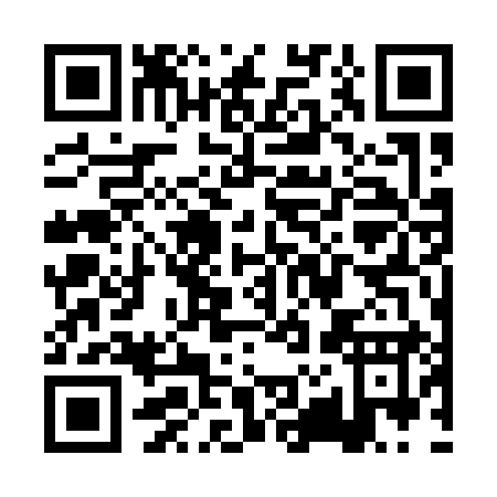 QR code for PZ719