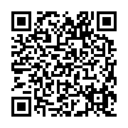 QR code for QA333