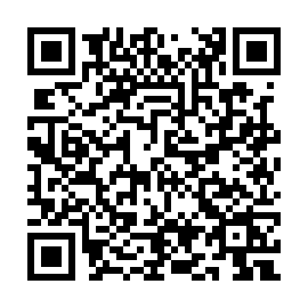 QR code for QI11