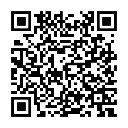 QR code for QI53
