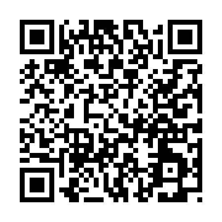 QR code for QJ419