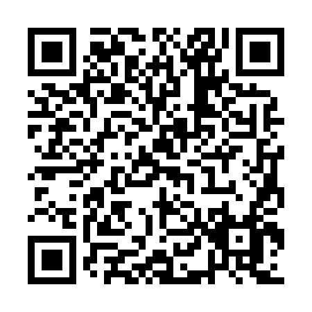 QR code for QL384
