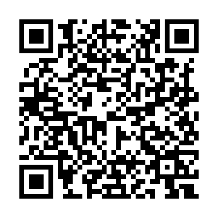 QR code for QN29