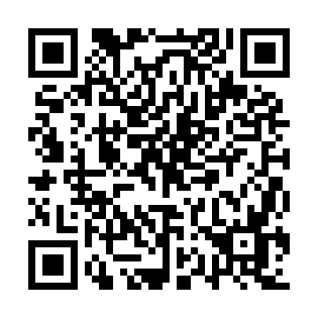 QR code for QQ29
