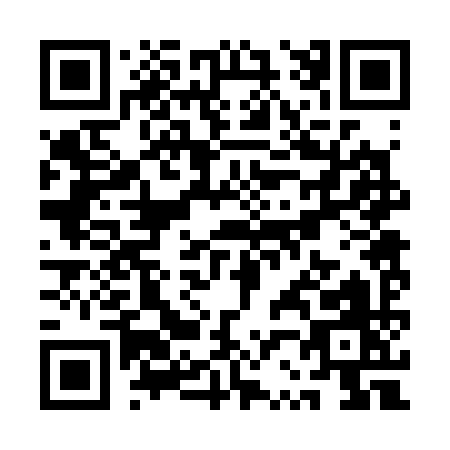 QR code for QR239