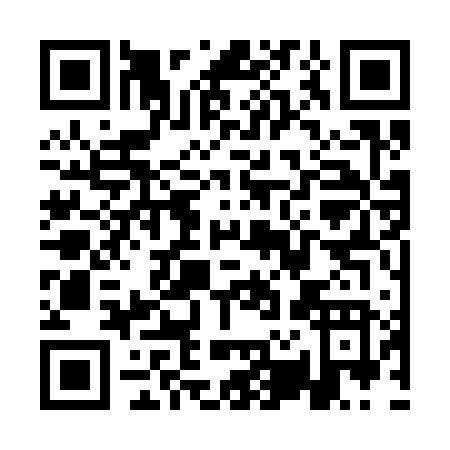 QR code for QR336