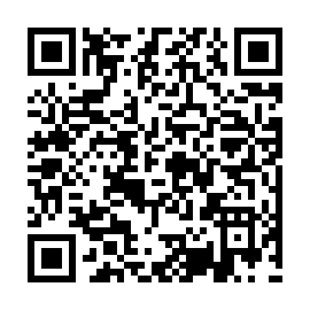 QR code for QR384