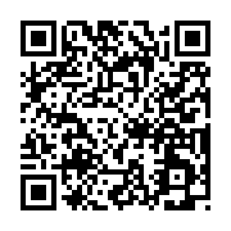 QR code for QS385